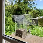Feriehus Nature-rich Summer House With Wild Garden